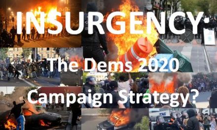INSURGENCY:  The Dems 2020 Campaign Strategy?