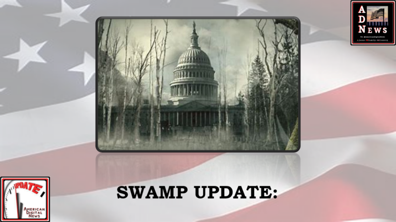 This image has an empty alt attribute; its file name is Swamp-Update-pic-800x450.png